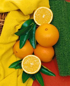 Citrus Fruites, Fruits