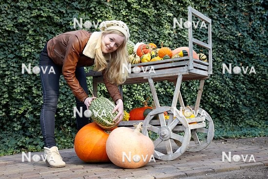 N1003855 Girl with pumpkins on wooden trolley