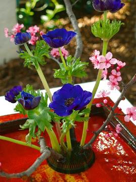 Decoration «Floristry», Easter, Floristry, poppy (Genus), Springtime