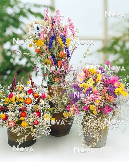 N1506084 Dry flowers mix in Vase