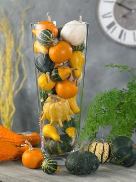 Cucurbita pepo, Fruchtschmuck im Herbst, Herbst, Mischung (Mix), Stimmungsbild, Vase