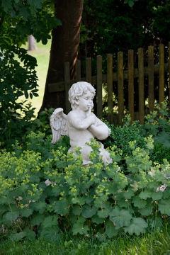 Angel, impression, lady's mantle, Statue