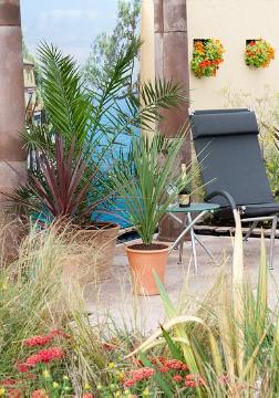 Achillea millefolium, date palm (Genus), garden design, Garden Furniture, Mediterraner Garten, Nasturtium (Genus), Phormium (Genus), plant container «Gefäße», terrace