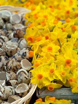 Bunch-Flowered Narcissus, decoration, Springtime, Stimmungsbild mit Narcissus, Tischdekoration