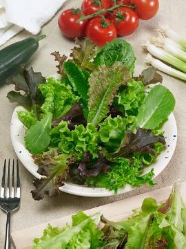 Gesunde Ernährung, Lactuca sativa var. crispa, Lactuca sativa, Leaf salad mix, Mixture (Mix)