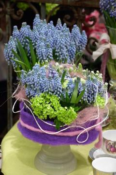 Frühlingsdekoration, Geschirr, grape hyacinth (Genus), Muscari armeniacum, Tischdekoration, Tischkultur