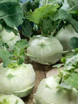 Blattgemüse, Brassica (Genus), turnip cabbage