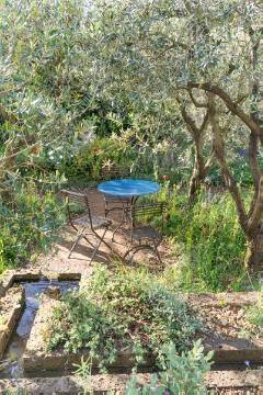 Garden Furniture, lavender (Genus), Mediterraner Garten, Olea europaea, poppy (Genus), Rosmarinus (Genus), sage (Genus)
