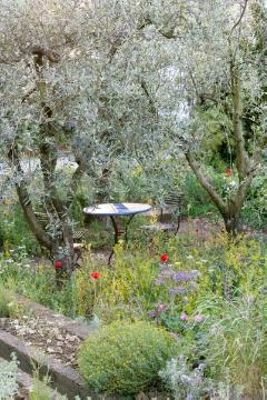 Garden Furniture, lavender (Genus), Mediterraner Garten, Olea europaea, poppy (Genus), Rosmarinus (Genus), sage (Genus)