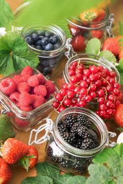 Beerenobst Mischung, Blackberry, impression, Raspberry, Red Currant, Strawberry, Vaccinium corymbosum