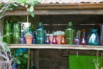 flower vase, glass vase, Sedum (Genus), Tontöpfe
