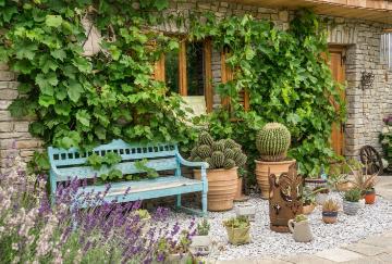 barrel cactus (Genus), Garden Bench, House entrance, Lavandula angustifolia, vine