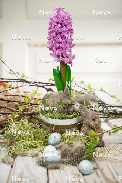 N1922693 Easter decoration with Hyacinthus