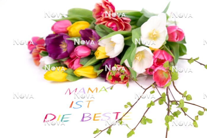 N2301558 Mothers Day decoration with tulips