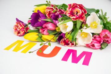 Muttertag, Schnittblume, Tulipa (Genus), Tulpenstrauß
