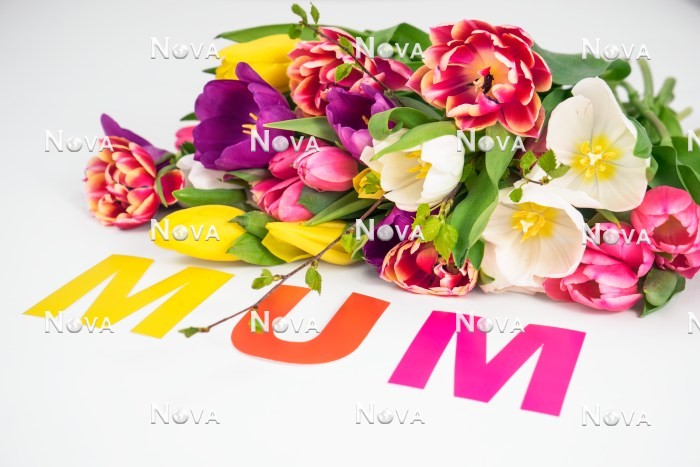 N2301552 Mothers Day decoration with tulips