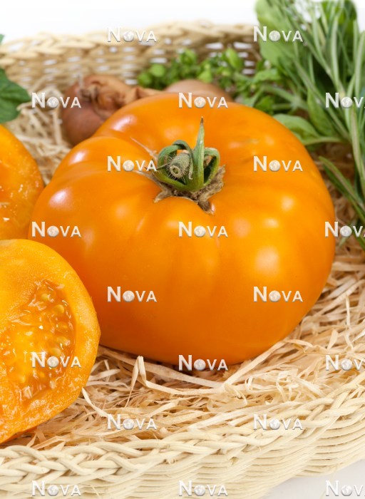 N1710059 Solanum lycopersicum Orange Wellington