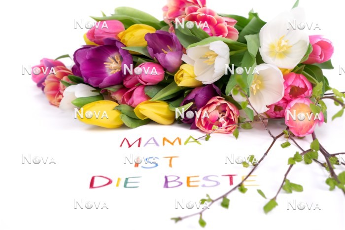 N2301560 Mothers Day decoration with tulips