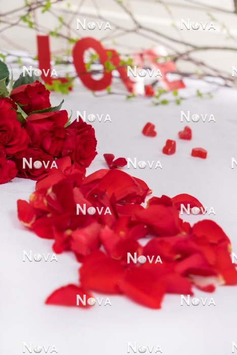 N2301581 Valentines Day Decoration with roses