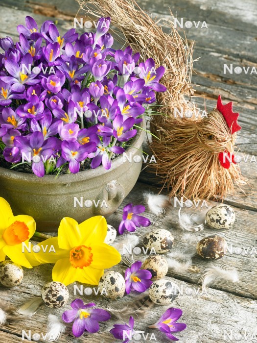 N2301591 Easter decoration with bulbs
