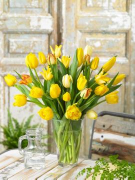 Cut Flowers, glass vase, Tulipa (Genus)