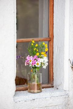 bouquet of flowers, flower vase, Leucanthemum x superbum, Phlox (Genus), Tagetes (Genus), window