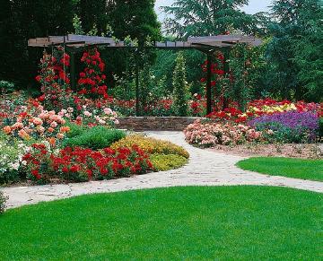 garden design, Pergola, Rosa (Genus), Rose garden