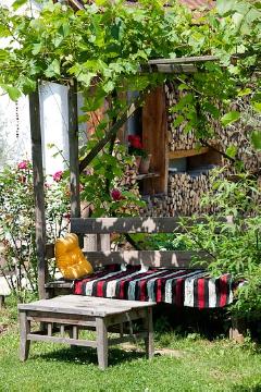 atmosphere, Garden Furniture, impression, Pergola, Vitis (Genus), wooden bench
