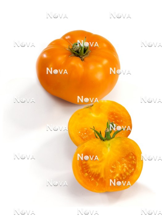 N1710060 Solanum lycopersicum Orange Wellington