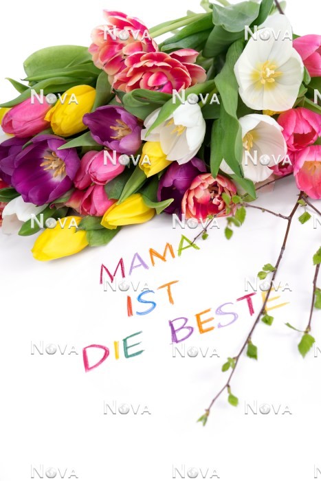 N2301561 Mothers Day decoration with tulips