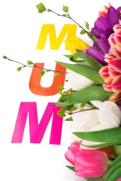 Mothers Day, Schnittblume, Tulipa (Genus), Tulpenstrauß