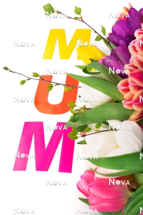 N2301550 Muttertags Dekoration mit Tulpen