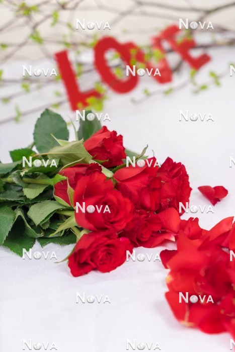 N2301584 Valentines Day Decoration with roses