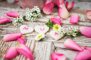Blütenblätter, Herzen, Muttertag, Spiraea japonica, Stimmung, Stimmungsbild