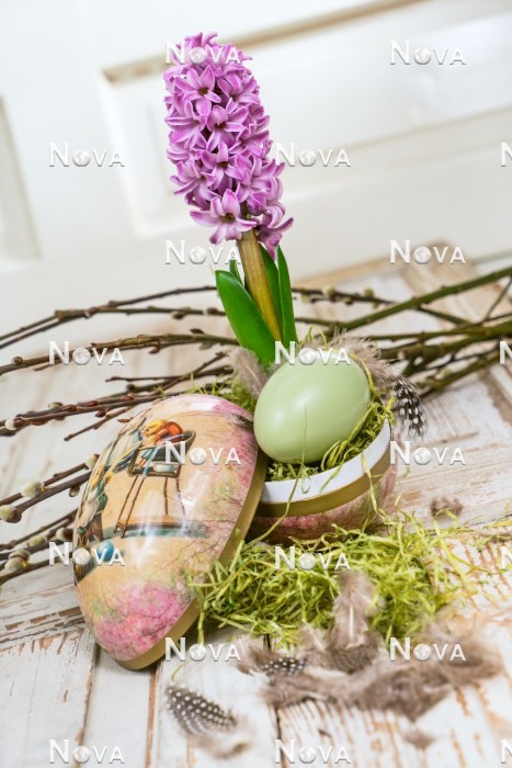 N1922702 Easter decoration with Hyacinthus