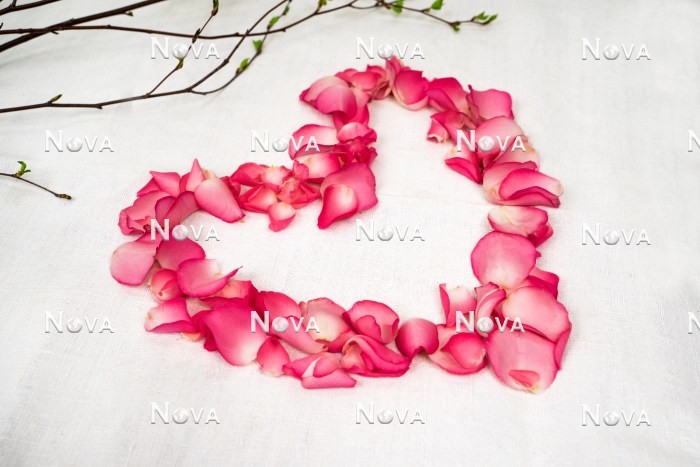 N2301557 Heart of rose petals