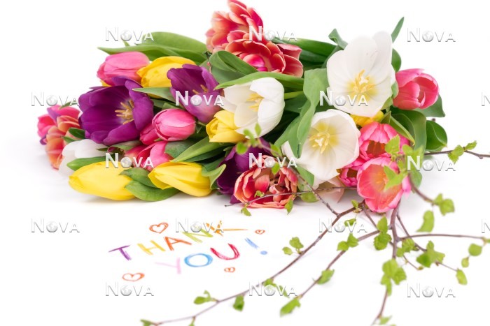 N2301564 Mothers Day decoration with tulips