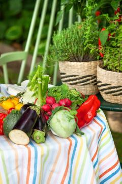 food «dish», Food, Grillen im Garten, herb mix, Herbs and Aromatics, Lifestyle, Vegetable dishes, vegetables mix