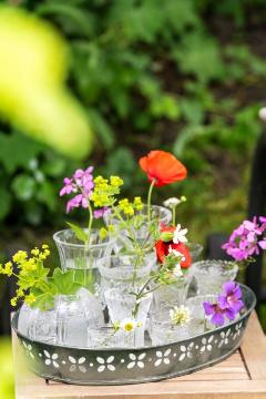 atmosphere, Geranium (Genus), glass vase, lady's mantle, Papaver orientale, Schnittblume, Wallflower