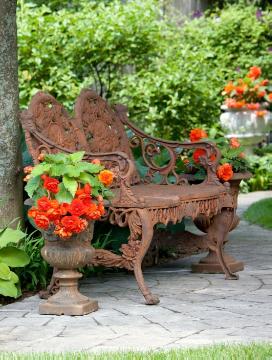 Begonia Cascade, Garden Bench