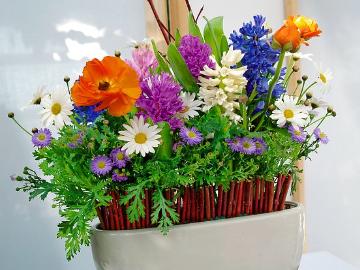 Decoration «Floristry», decoration, Easter, Floristry, Hyacinthus (Genus), Springtime, window