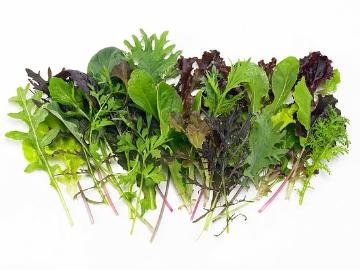Blattgemüse, Gesunde Ernährung, Lactuca sativa var. crispa, Mixture (Mix), white background