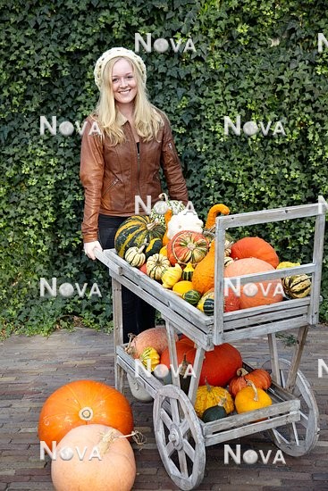 N1003858 Girl with pumpkins on wooden trolley