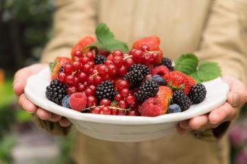Beerenobst Mischung, Blackberry, impression, person, persons, Raspberry, Red Currant, Strawberry, Vaccinium corymbosum