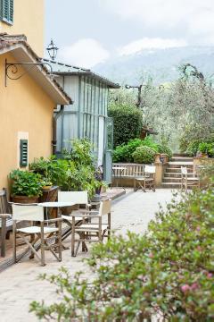 Garden Furniture, Mediterraner Garten, Olea europaea, plant container «Gefäße», Rhododendron (Genus), terrace