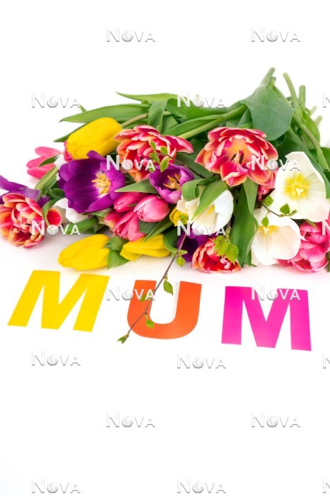 N2301551 Mothers Day decoration with tulips