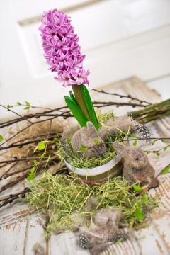 Easter bunny, Easter, Hyacinthus orientalis