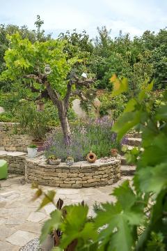 Lavandula angustifolia, Natural stone wall, Naturstein, vine