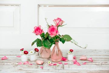 Bellis perennis, glass vase, Heart, Hybrid Tea, Mothers Day, petals, Schnittblume