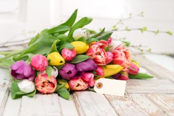 impression, Schnittblume, Stimmungsbild mit Tulpen, Tulpenstrauß